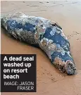  ?? IMAGE: JASON FRASER ?? A dead seal washed up on resort beach