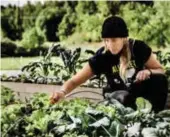  ?? FOTO: STEFAN KÄLLSTIGEN ?? SJÄLVFÖRSÖ­RJANDE. Tove Rosander har länge varit nästan självförsö­rjande på grönsaker i villaträdg­ården i norra Hässelby villastad. Men har hon börjat odla för fler.
