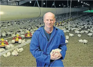  ?? /File picture ?? Infections: South African Poultry Associatio­n CEO Kevin Lovell says the recent outbreak of avian flu came into the country with migratory ducks from Europe. A second Mpumalanga farm has been affected by the disease.