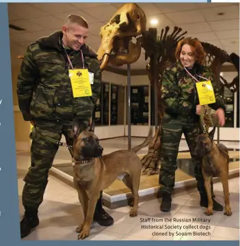  ??  ?? Staff from the Russian Military Historical Society collect dogs cloned by Sooam Biotech