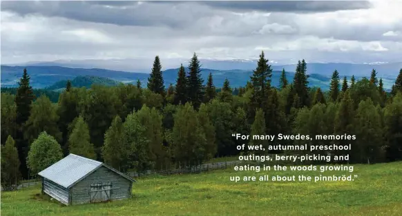  ??  ?? “For many Swedes, memories of wet, autumnal preschool outings, berry-picking and eating in the woods growing up are all about the pinnbröd.”