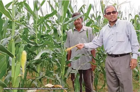  ??  ?? AHMAD (kanan) meninjau tanaman jagung yang diusahakan Azam.