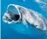  ?? ?? Whale sharks are vulnerable as they move slowly when feeding on microscopi­c zooplankto­n