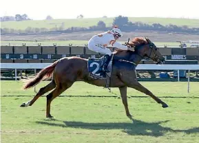  ?? SUPPLIED ?? Astor (Chris Johnson) confirms the step up to the feature race stage with an easy win at Taupo.