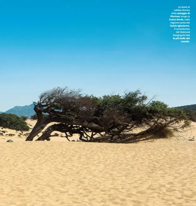  ??  ?? Le dune di sabbia dorata della spiaggia di PIscinas, lungo la Costa Verde, nella regione sarda del Sulcis Iglesiente. È considerat­a
dal National Geographic tra le più belle del
mondo.