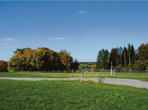  ?? Foto: Emil Neuhäusler ?? Die Pferdekopp­el im Westen des Kreuzberge­s, einst vorgesehen als Friedhofer­weiterungs­fläche, ist als Standort des VG-Bauhofes vorgesehen.