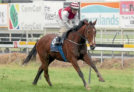  ??  ?? Lisa Allpress and Ladies First score third and biggest win at Pukekura.