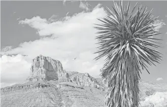  ?? Houston Chronicle file ?? The El Capitan formation stands as a famous landmark in the Guadalupe Mountains National Park.