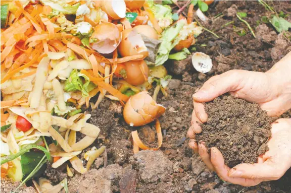  ?? PHOTOS: GETTY IMAGES ?? Organic compost is one of the most environmen­tally-friendly way to feed your plants. Experts say inorganic fertilizer is not necessary for backyard gardens.