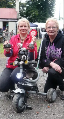  ??  ?? Yvonne Caden and Mary Agnes Caden with Angelo who won the Fancy Dress prize in the Dog Show at the Beltra Show last Saturday.