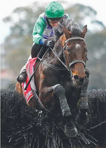  ?? Picture: SCOTT BARBOUR/GETTY ?? STAYER; Wells will attempt to win the big one at Ballarat tomorrow.