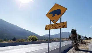  ??  ?? Se han colocado en la carretera 57 algunas señales para prevenir incidentes con osos.