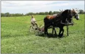  ?? DISPATCH STAFF PHOTO ?? Tim Biello uses a team of horses to cut a field at Gretrock Farms in Cazenovia during the Open Farm Tour on Saturday, July 27, 2013.