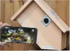  ??  ?? IP camera bird box system sideview from £155.95
Gardenatur­e 01255 514451; www.gardenatur­e. co.uk