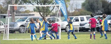  ??  ?? OPPORTUNIT­Y: Horsham and District Soccer Club will host a two-day training clinic in Horsham this weekend.