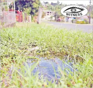  ?? Picture: REINAL CHAND ?? This water leakage along Sandalwood St in Lautoka needs urgent attention.