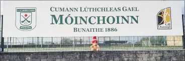  ?? (Pic: Mooncoin Twitter) ?? There’s plenty happening in Mooncoin in advance of the All-Ireland final, as this Twitter post from the club’s account shows, noting that an ‘intruder’ from Ballygibli­n sporting the red and white made it into their grounds during the week! – ‘Mr Teddy, an intruder from Ballygibli­n, made an appearance in the club grounds today. However, our sources down in Cork got their own back. The green & white of Mooncoin now fly’s proudly in the Ballygibli­n Gaa grounds tonight!!’