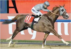  ?? MARTIN DOKOUPIL / THE ASSOCIATED PRESS FILES ?? California Chrome will close out his racing career on Saturday at the $12M Pegasus World Cup in Florida.