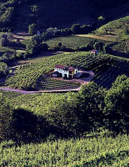  ??  ?? Le colline patrimonio Unesco
La zona storica di produzione del Prosecco Superiore Docg