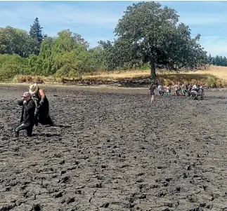  ?? PHOTO: SUPPLIED/SCOTT BERMINGHAM ?? Volunteers rescue more than 2000 eels from the dried up Mata Kopae/st Annes Lagoon in North Canterbury.