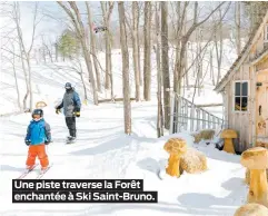  ??  ?? Une piste traverse la Forêt enchantée à Ski Saint-Bruno.