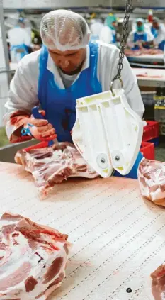  ?? Archivfoto: Bernd Thissen, dpa ?? Fleischzer­legung ist im wahrsten Sinne des Wortes Knochenarb­eit. Jetzt soll es schärfere Regeln für die Großbetrie­be der Branche geben.
