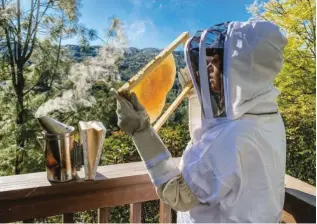  ??  ?? Junto con su papá rescata panales de abejas y las traslada a su granja para cuidarlas. Parte de la miel que producen la venden y un porcentaje del dinero se dona para poder seguir luchando contra su extinción.