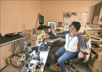  ?? Nate Guidry/Post-Gazette photos ?? Anita Lorenz, a scientist with the Allegheny County Medical Examiner's Office, explains the use of a comparison microscope Tuesday at the office in the Strip District.