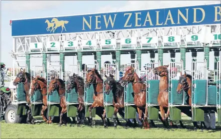  ?? Photo: TRISH DUNELL ?? BEST OPTION: Starting gates similar to those in use at Ellerslie are set to become the norm.