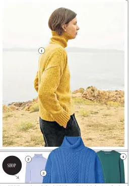  ??  ?? 1. Yellow sweater, £295, Toast (toa.st/uk) 2. Sheer merino wool roll-neck, £45 (arket.com) 3. Annis Geelong Aran roll-neck, £335, &Daughter (and-daughter.com) 4. Hambleden scallop jumper, £65 (boden.co.uk)