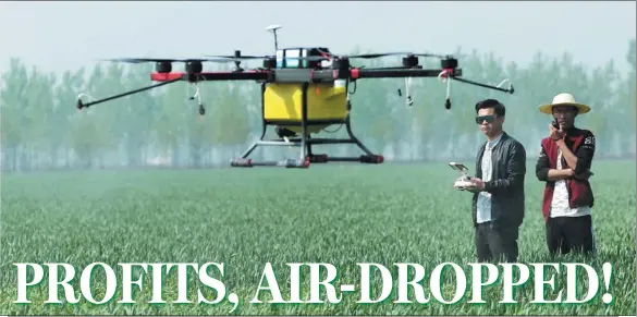  ?? JI ZHE / FOR CHINA DAILY ?? An agricultur­al drone sprays fertilizer on a wheat field in Daliuzhuan­g village, Shandong province.