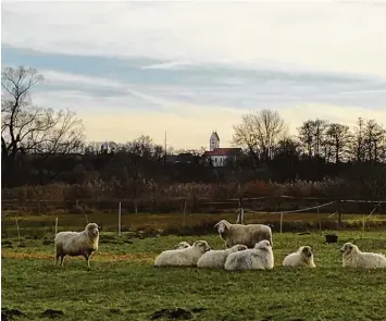  ?? Foto: Gemeinde Kettershau­sen ?? Kettershau­sen im Unterallgä­u: Der Ort hat rund 1850 Einwohner und eine Kirche. Aber kein Zentrum und keinen Metzger mehr. Kettershau­sen will sich jetzt zur „Natur Gemeinde“machen.