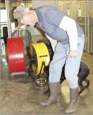  ?? Katie West • Times-Herald ?? Jerry Howles, Forrest City Area Humane Society vice president and volunteer, moves Lancelot from his kennel to go outside. Letting the dogs spend ample time outside is just one of the many duties volunteers perform each day. Currently, there are several dogs at the shelter who are in need of homes.