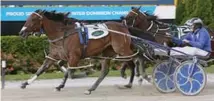  ?? Photo / Trish Dunell ?? Hayden Cullen says Group 1 girl Amazing Dream (R1, No 9) is the most “in the zone” from his stable at the Harness Jewels tomorrow at Cambridge but will struggle with the draw.