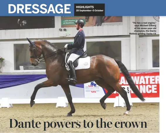  ??  ?? “He has a real engine,” says Michael Eilberg of his seven-year-old champion, the Dante Weltino gelding Dante VX