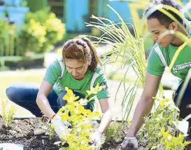  ??  ?? Learning environmen­ts: Academic research shows that greener school environmen­ts can improve children’s health and learning, so the Renovate to Educate program extends its schoolreha­bilitation initiative­s to planting herbs and shrubs.