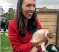  ?? PHOTO: LAURA WALTERS/STUFF ?? Prime Minister Jacinda Ardern with her cat Paddles.