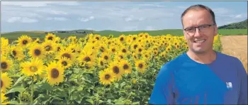  ?? 50_c33sunflow­ers01 ?? David H Young stands alongside the 10ft wide bank of sunflowers.