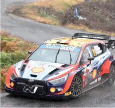  ?? — AFP photo ?? Neuville and his co-driver Martijn Wydaeghe of Belgium drive their Hyundai i20 N Rally1 Hybrid during the Rally Japan, the 13th round of the FIA World Rally Championsh­ips, in Ena city, Aichi prefecture.