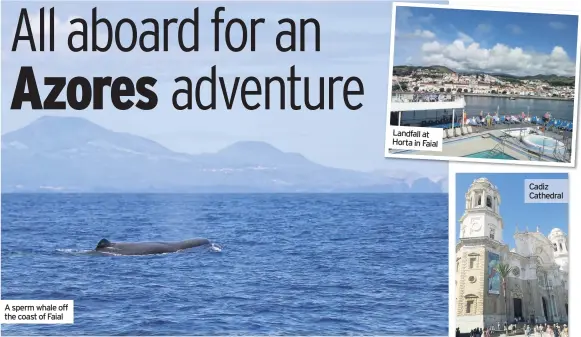  ??  ?? Landfall at Horta in Faial A sperm whale off the coast of Faial