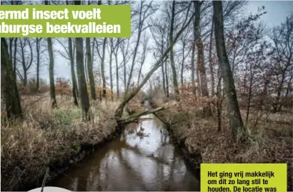  ?? FOTO RAYMOND LEMMENS ?? De vermiljoen­kever heeft een habitat gevonden in de vallei van de Dommel.