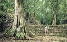  ?? Picture: 123rf.com/softlight6­9 ?? JUNGLE FEVER A visit to the ancient Maya city of Palenque, Mexico.