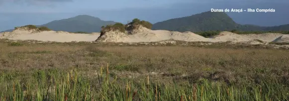  ??  ?? Dunas de Araçá – Ilha Comprida