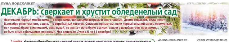  ??  ?? Декабрь, осень оттесняя, Идет уверенно вперед И, снежной шапкою махая, Все заковал в прозрачный лед. Лег снег, пока еще несмело, На огороды и поля, И под пушистым покрывалом белым Уснула опустевшая земля. Декабрь — самый темный месяц года, Короток день, а ночь длинна. Грустит застывшая природа И ждет, когда придет весна.