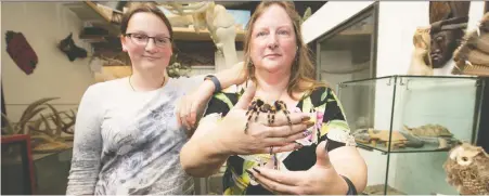  ?? FRaNCIS GEORGIAN ?? Pamala Combs and her daughter Caitlyn Combs, 14, pose with a spider and other exotic creatures at the Urban Safari Rescue.