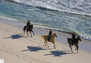  ??  ?? 1. Perdry op die strand by die Grootbos-reservaat buite Gansbaai. 2. Helen Grosvenor op die Sungazer Camino naby die Moolmansho­ek-reservaat in die Oos-Vrystaat. 1