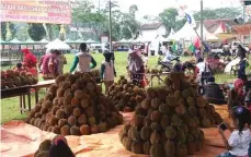  ?? EFENDI WIHARJO FOR RADAR JEMBER ?? GUNUNGAN: Festival Durian Sumberjamb­e 2018 akhir pekan lalu berlangsun­g meriah dan menyedot animo ribuan pengunjung.