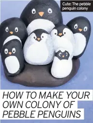  ??  ?? Cute: The pebble penguin colony