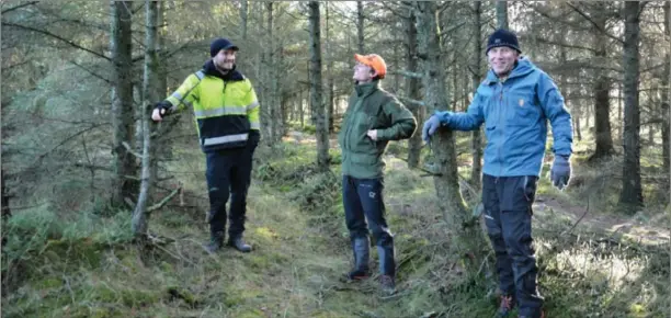  ?? FOTO: ALEXANDRA INDSETH LANGEGARD ?? Entreprenø­r Ole Morten Ertzeid Opsahl , naturforva­lter Espen Åsan og prosjektle­der Bjørn Vikøyr. På tirsdag starter hogsten.