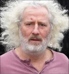  ??  ?? Deputy Mick Wallace.